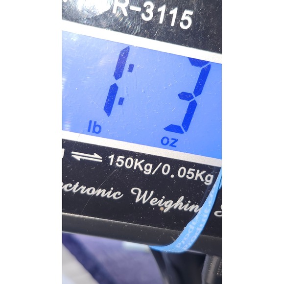 Silver Jeans Co Avery Slim Crop Indigo Distressed Button Fly Jeans W34 L25 - Picture 12 of 12